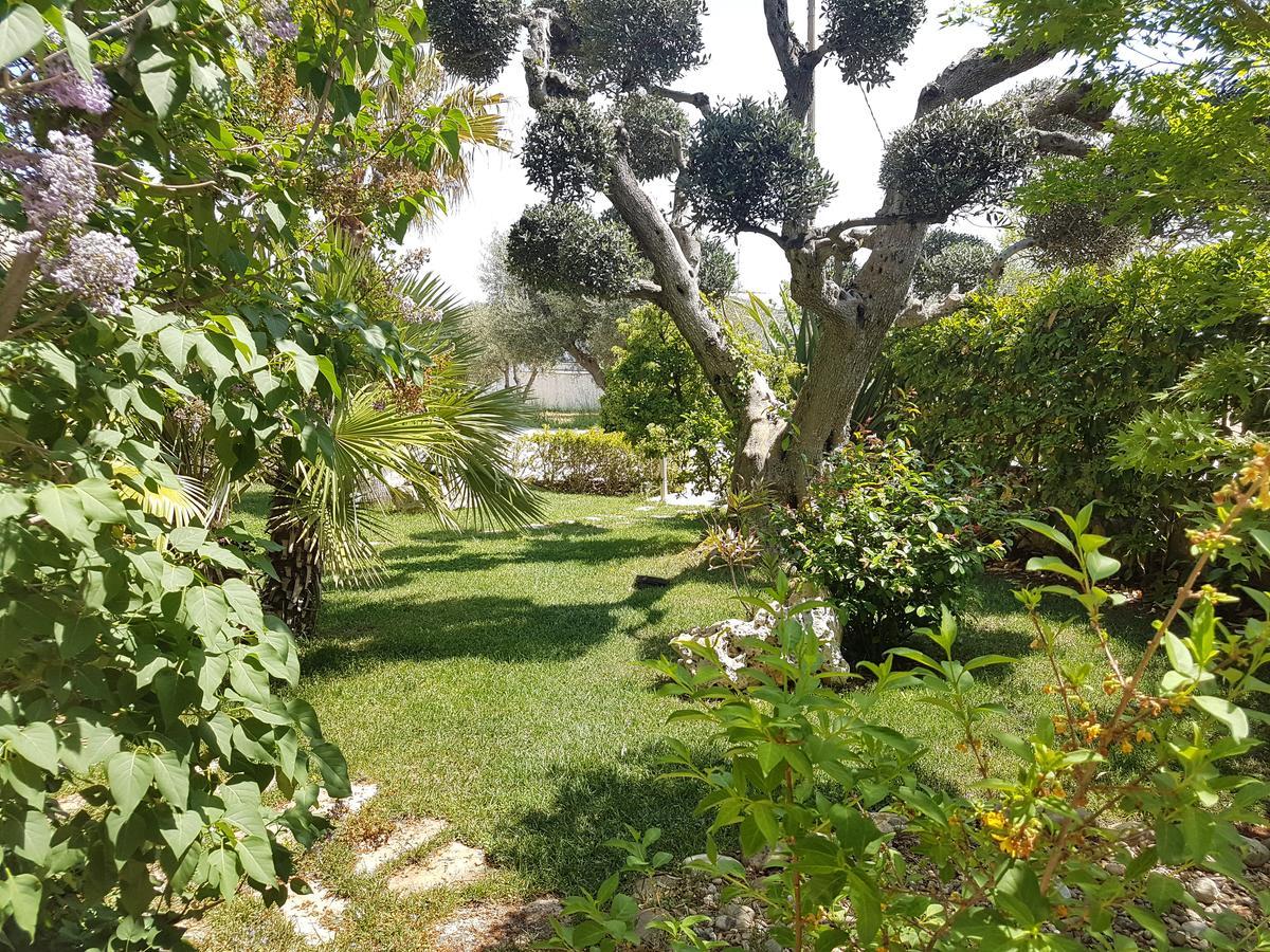 Villa Petra Chiara Locorotondo Eksteriør billede